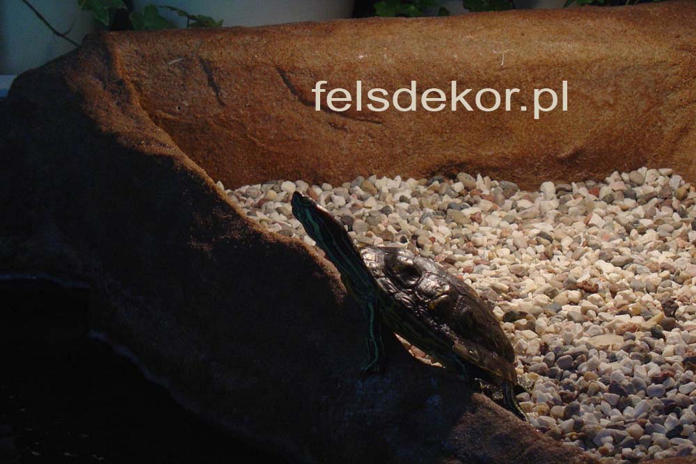 picture/terrarium_zlow_sztuczna_skala_felsdekor_7.jpg